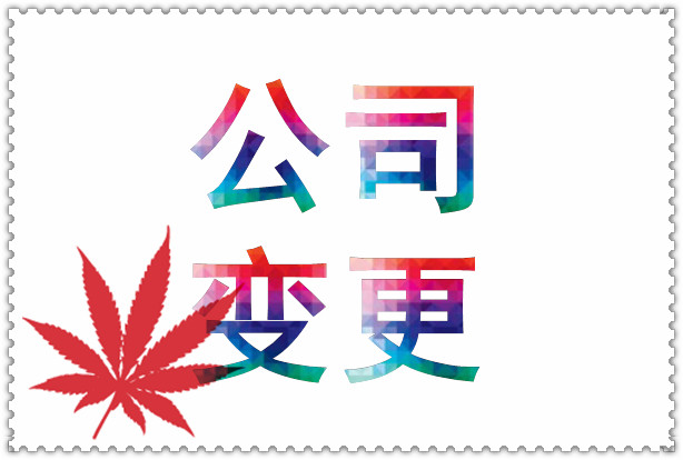 芜湖公司变更