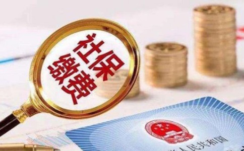 在芜湖社保代缴服务是如何收费的