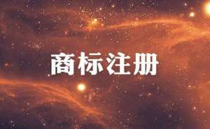 芜湖市繁昌区注册商标查询申请如何办理