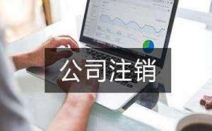 芜湖市繁昌区电商公司多久可以申请注销