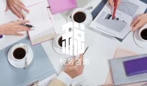 芜湖市繁昌区税务咨询提供的四种信息