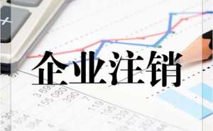 芜湖市繁昌区代办公司注销应如何选择