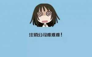 芜湖市繁昌区公司注销材料都有哪些流程是什么？