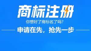 在芜湖，什么是商标侵权