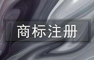 在芜湖商标注册成功后有哪些权限？