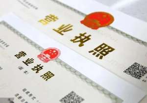 芜湖办理营业执照的正副本需要用多少钱