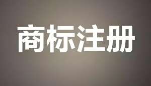 芜湖商标注册的审查标准是什么