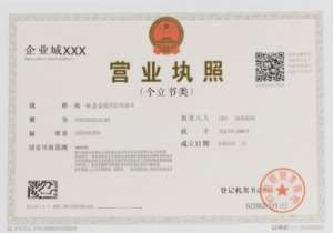 速看！芜湖营业执照申办步骤与注意事项大盘点