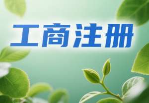 芜湖工商注册手册：材料、流程、费用汇总